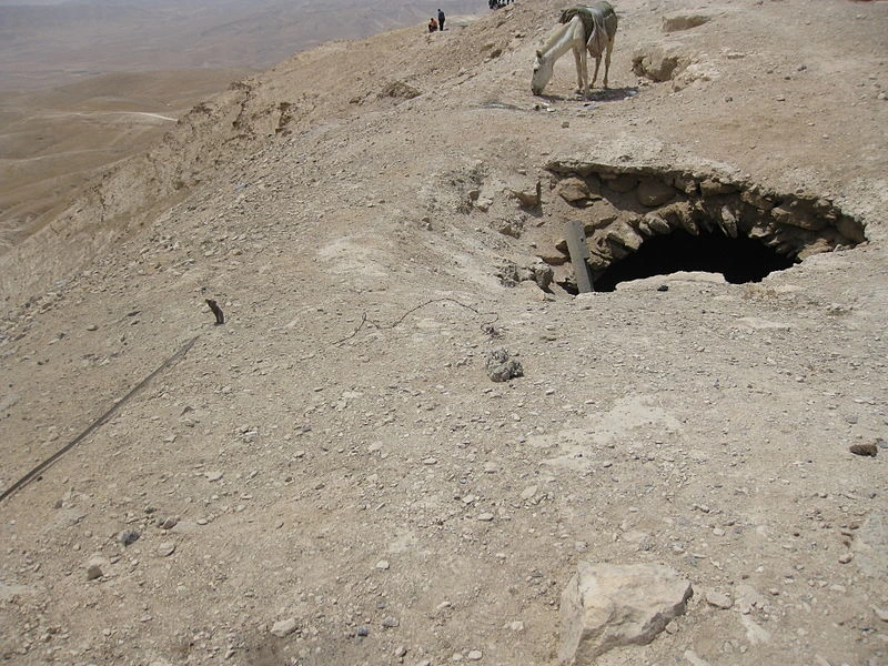 SCP-1437 · ภาพ 3