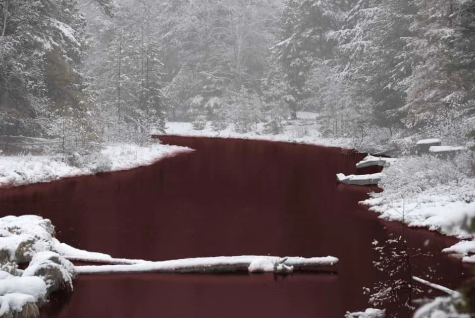 SCP-354