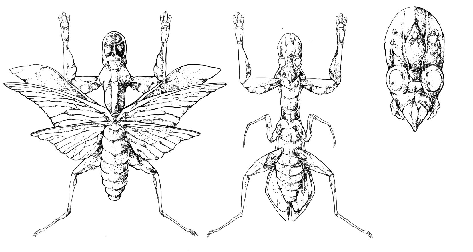 SCP-7999